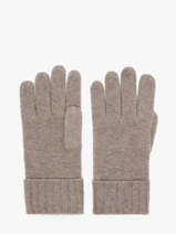 Gants Cachemire Vercors Etrier Beige vercors EVER429U